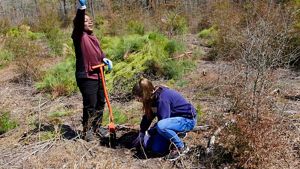 A young boy waves to friends during a school tree planting trip. Another student crouches on the ground next to him, planting a tree seedling.