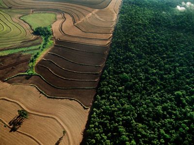 Industrial farmland surrounding cerrado habitat, Emas National Park, Brazil.