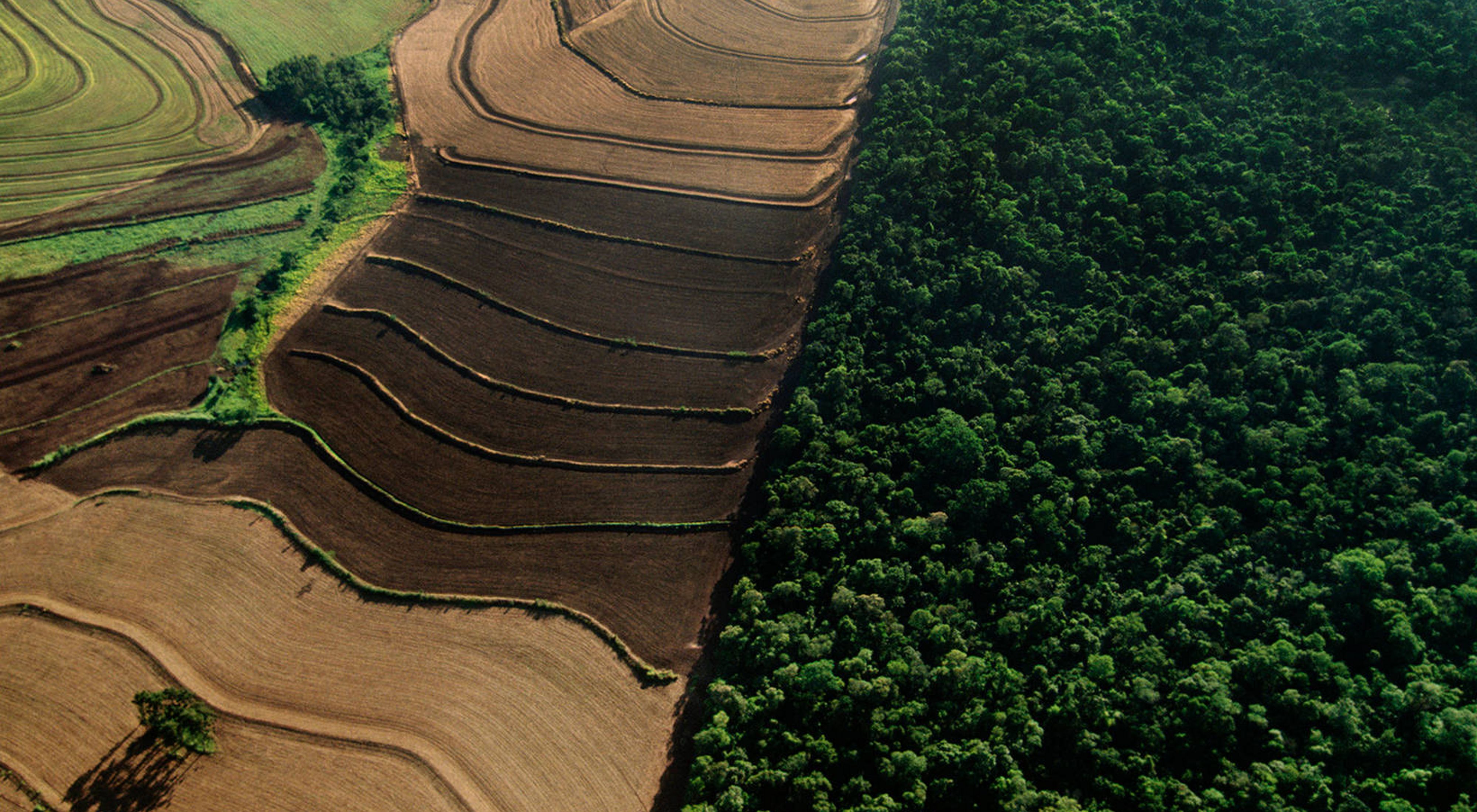 Industrial farmland surrounding cerrado habitat, Emas National Park, Brazil.