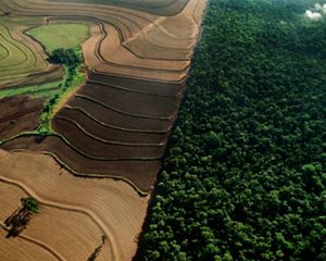 Industrial farmland surrounding cerrado habitat, Emas National Park, Brazil.