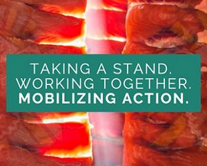 Image says "Working together, taking a stand, mobilizing action."