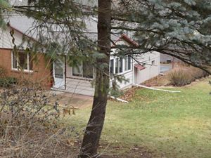 A house sits behind a tree and a grass lawn. 