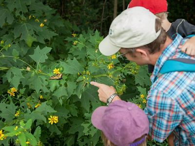 A man and his children look at a butterfly on a bush.