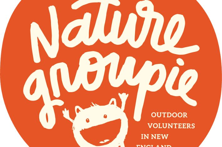 Nature Groupie logo illustration, an orange circle with an illustrated character and the words 'Nature Groupie, Outdoor Volunteers in New England' written on it.