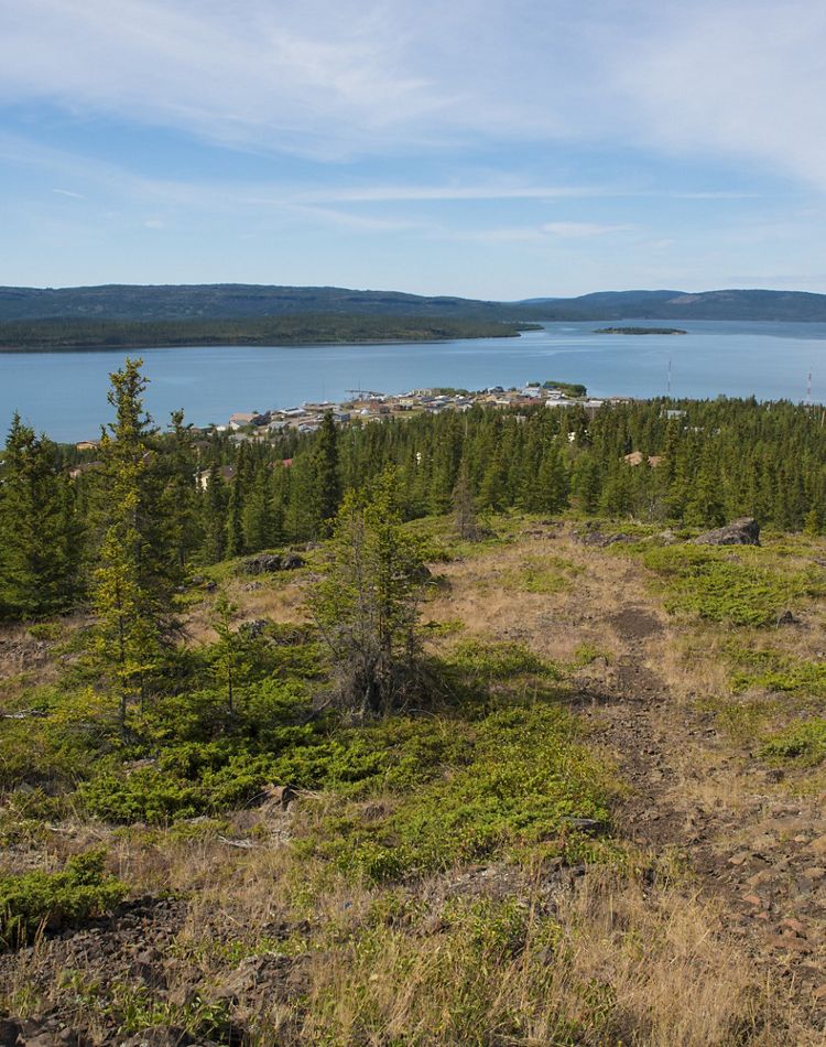 A landscape of with evergreens, lake and mountains