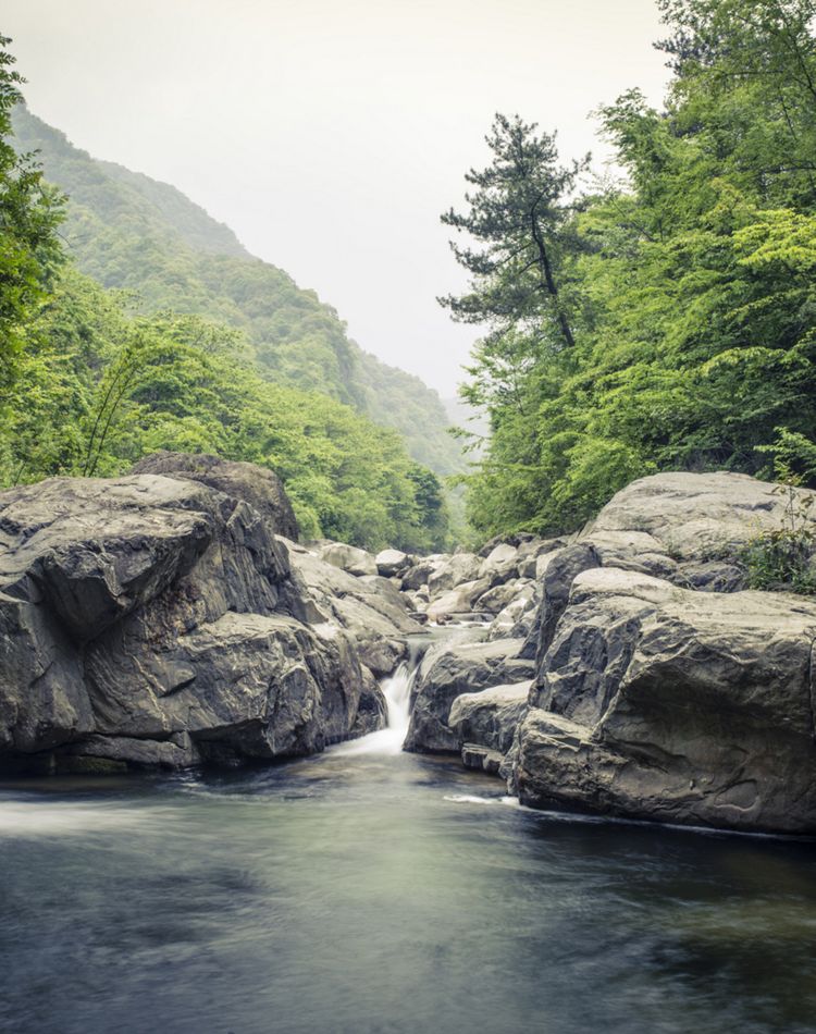large rocks in a river surrounded by greenery