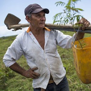 an older man holds tree planting equipment