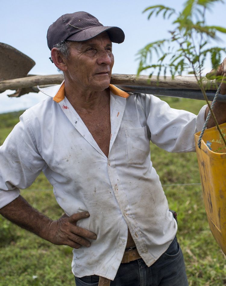 an older man holds tree planting equipment