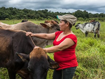 Ranching and Agriculture (R2A) program, more than 4,000 ranchers have been able to restore habitat while increasing land productivity. They’ve planted 3.5M trees to date.