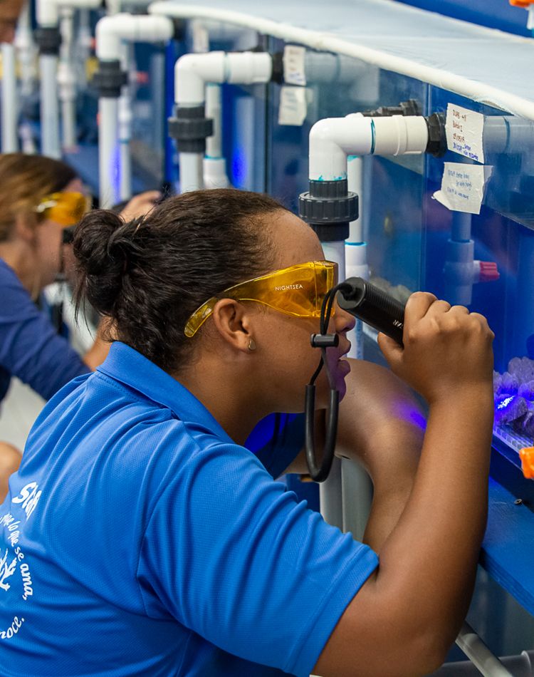 a woman shines a UV light into a fish tank in a lab