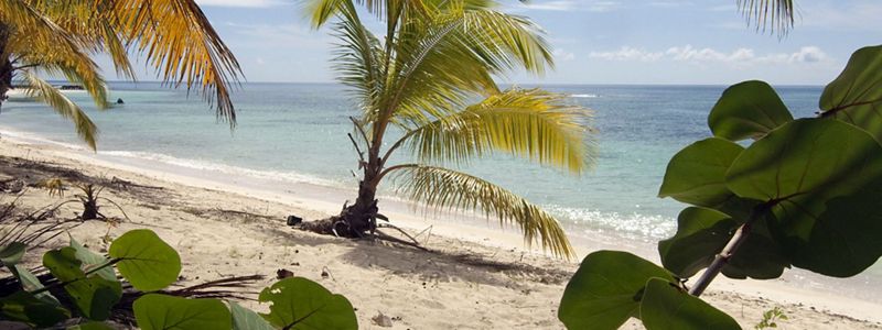 A sandy beach in the Dominican Republic.