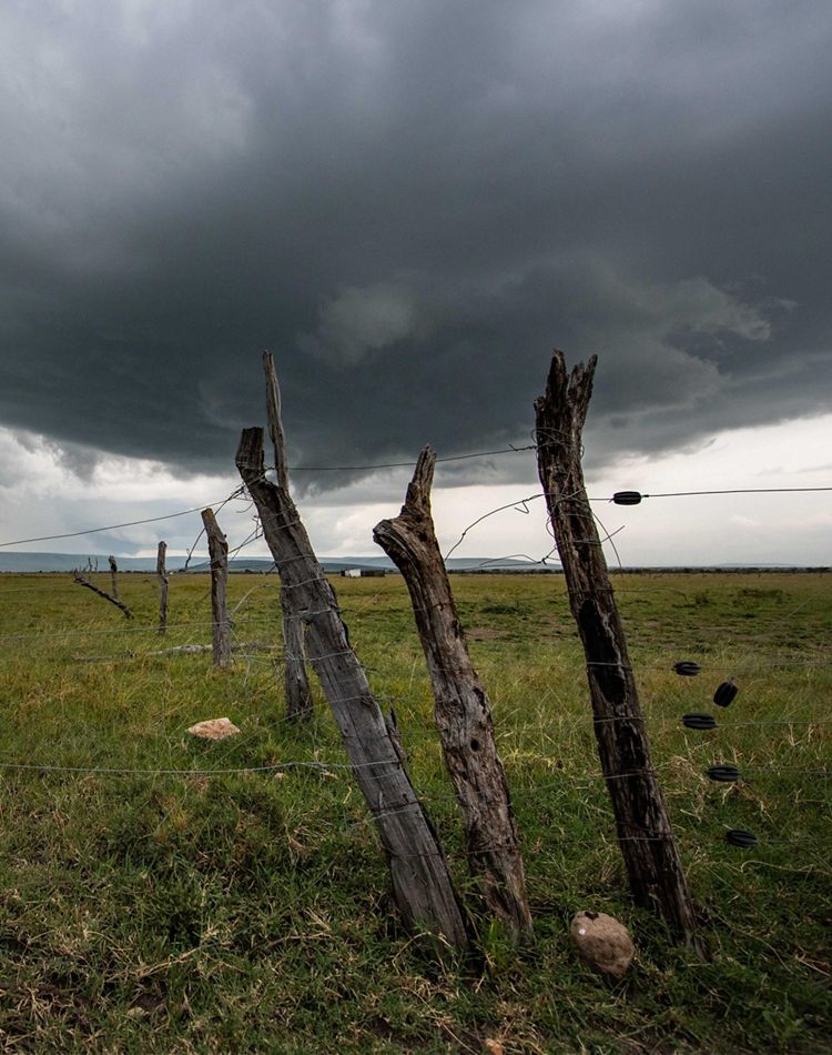 three posts wrapped in wire fencing against stormy sky