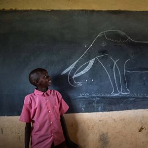 a young child looks at chalk drawing of elephant