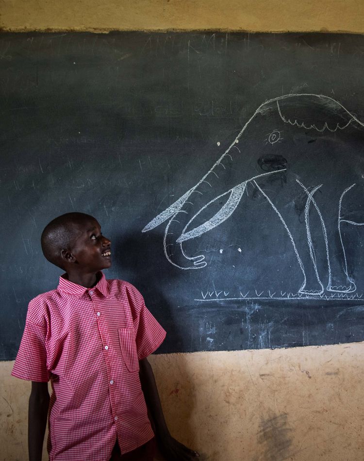 a young child looks at chalk drawing of elephant