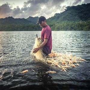 a man stands in water with fishing net