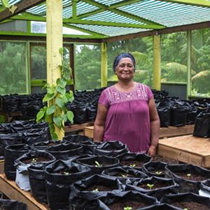 a smiling woman stands in plant nursery     