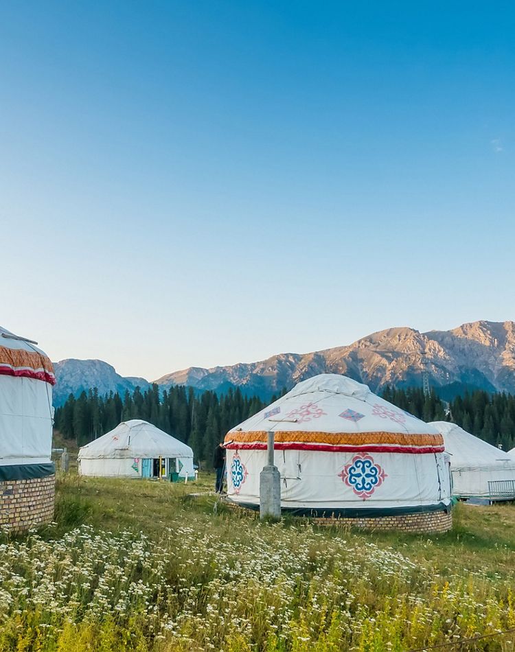 Group of yurts in grassland against mountain landscape