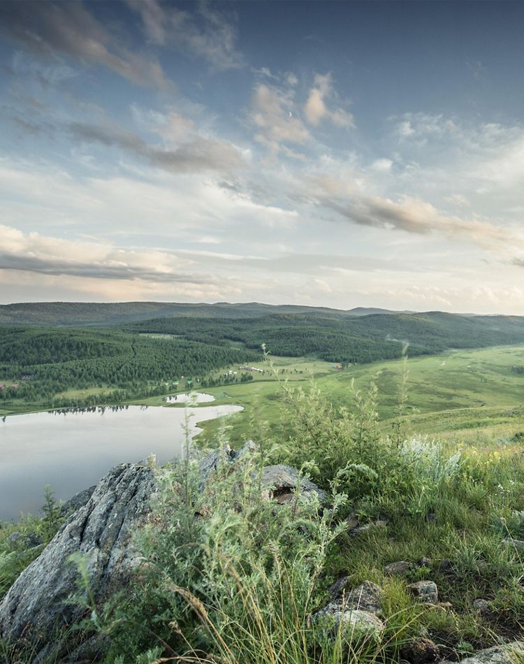 vast grassy landscape with soft colors shot at dusk