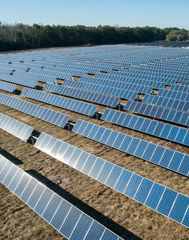 a view of expansive field of solar panels