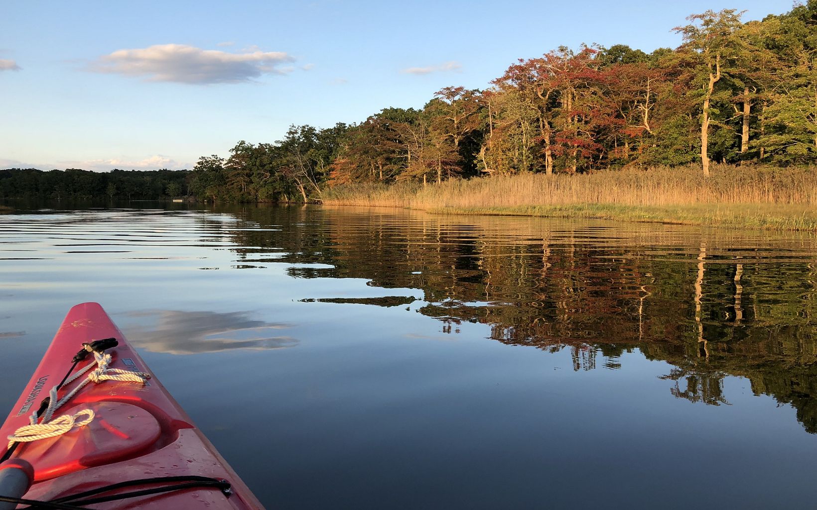 
                
                  Gliding Along One can also enjoy the King Preserve (at right) from the water side. Here, a kayak cruises past the preserve in the fall. 
                  © Jeanne Cooper/TNC
                
              