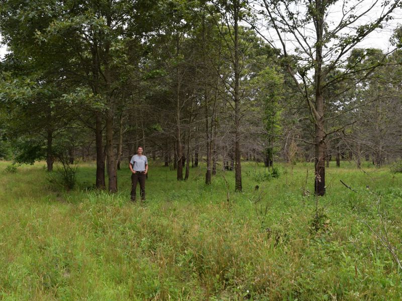 Natasha Whetzel stands in the distance in a field of grass.