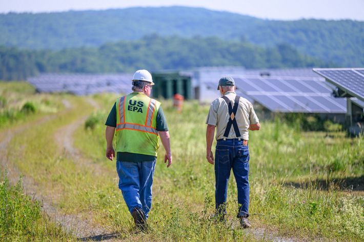 Two men walk along the edge of a field of solar panel arrays.