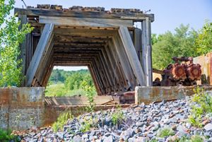 Mine ruins surrounded by weeds and plant overgrowth. 