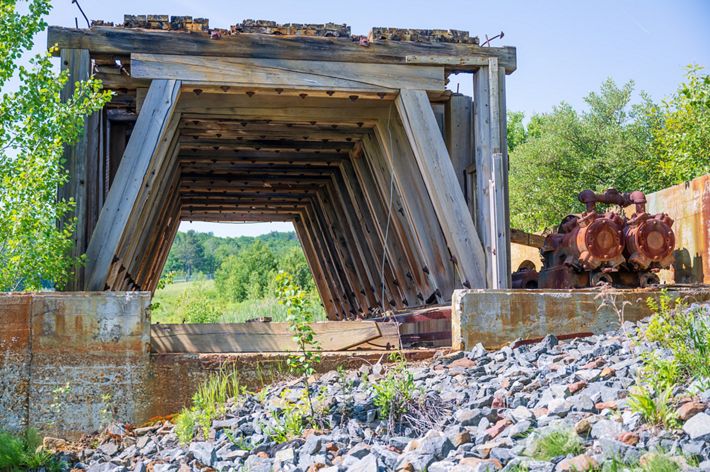 Mine ruins surrounded by weeds and plant overgrowth.