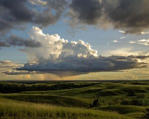 The undulating savannas in Colombia’s new ManacacÍas national park become wetlands during the rainy season.