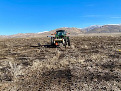 A tractor rolls across a landscape of dead grass.