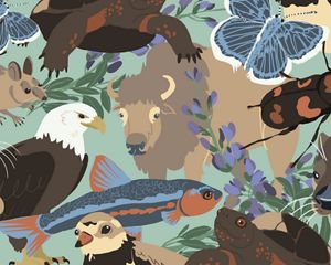 Ilustración que muestra diferentes especies de animales: búfalos, águilas, ratones, nutrias, entre otros.