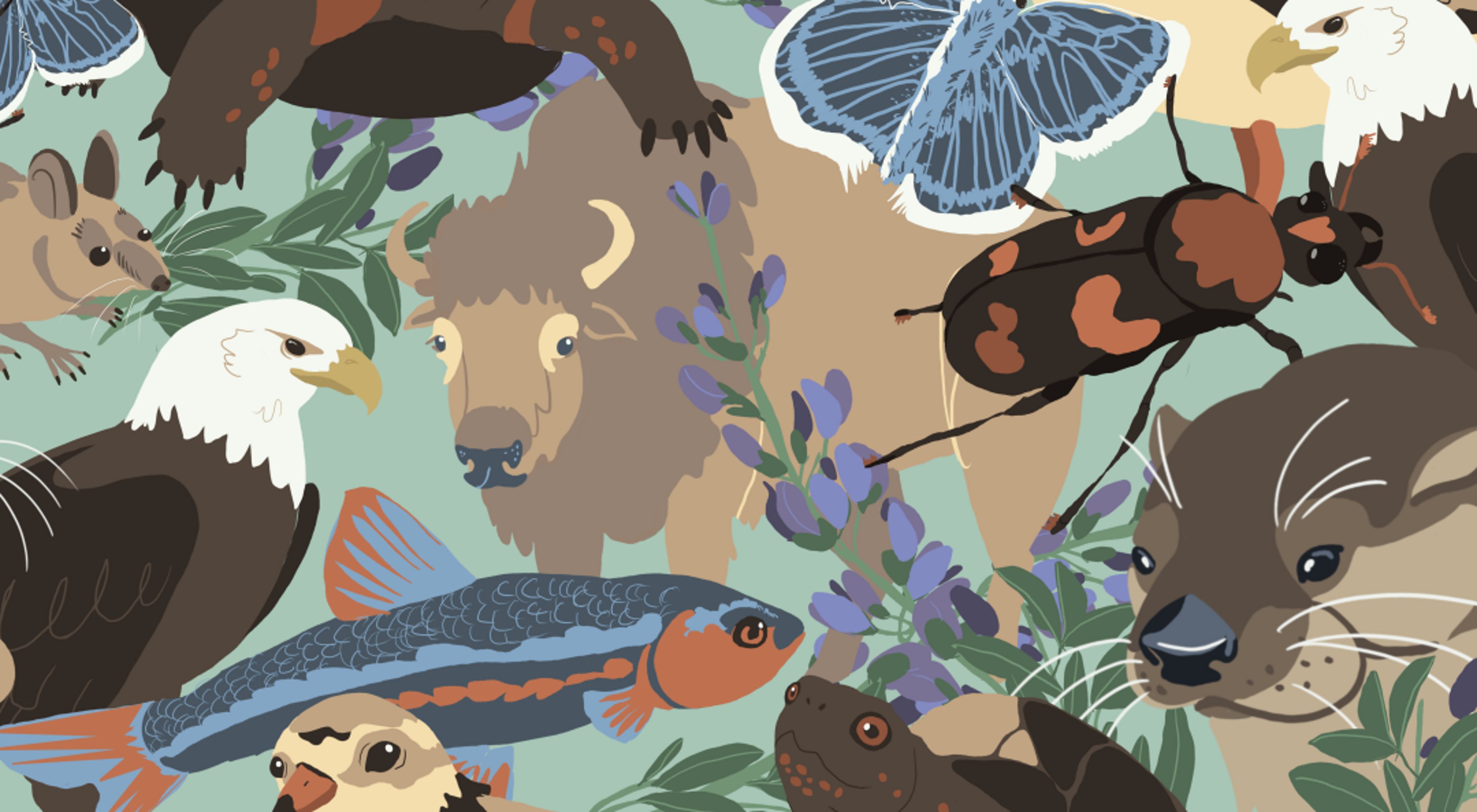 An illustration of a collage of animals.