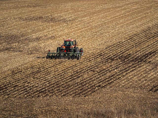 A red tractor drives through an agricultural field of golden plant remains, creating neat rows in the earth.
