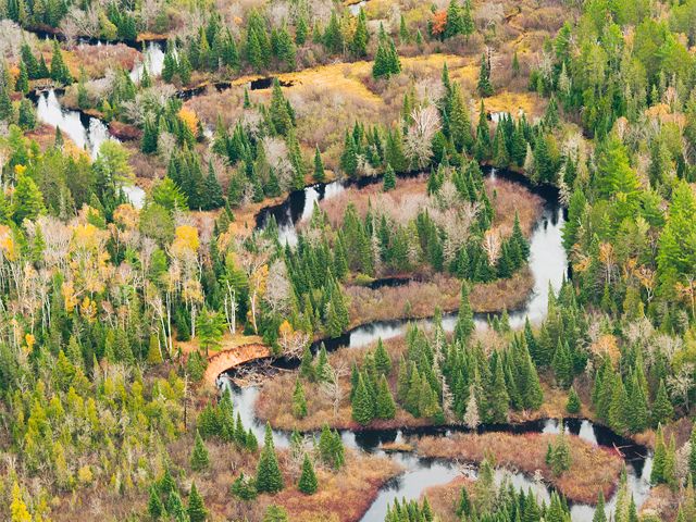 The Two-Hearted River on an autumn day in Michigan. The winding river is surrounded by autumn trees.