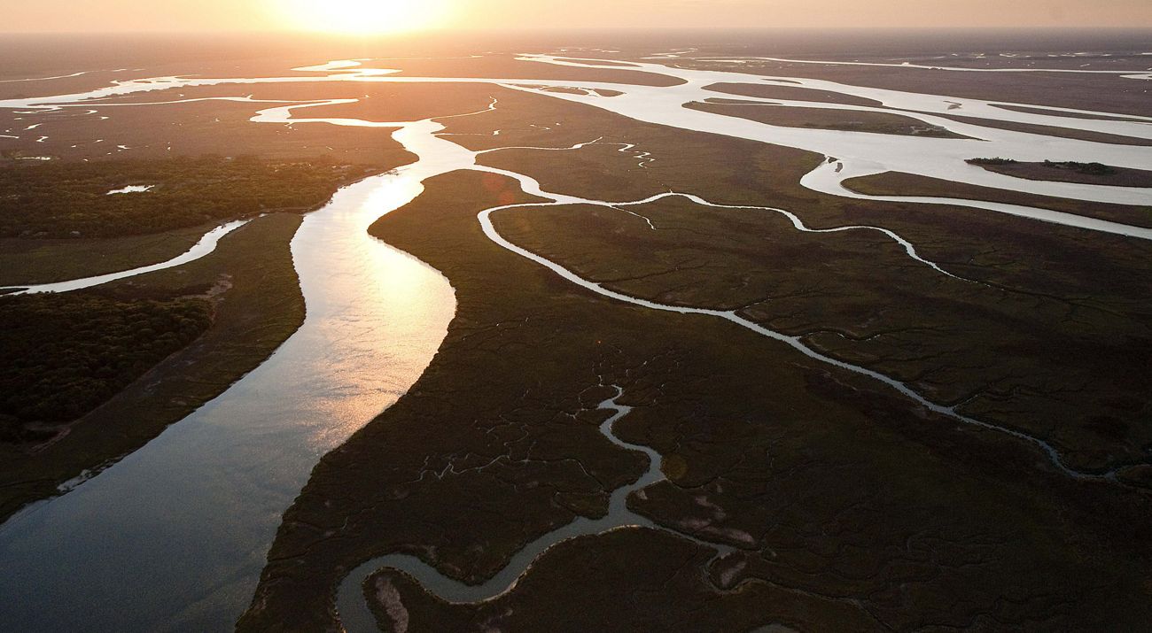Wide channels of water undulate through a vast marshy area. The surface of the water reflects the golden light of the sun.