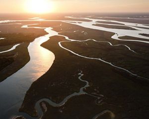 Wide channels of water undulate through a vast marshy area. The surface of the water reflects the golden light of the sun.