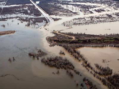 Aerial view of Mollicy Farms and levee, Monroe, Louisiana.