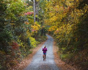 A hiker walks through the woods in fall color.