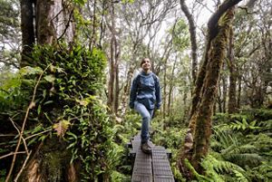 TNC staff hiking through rainforest. 