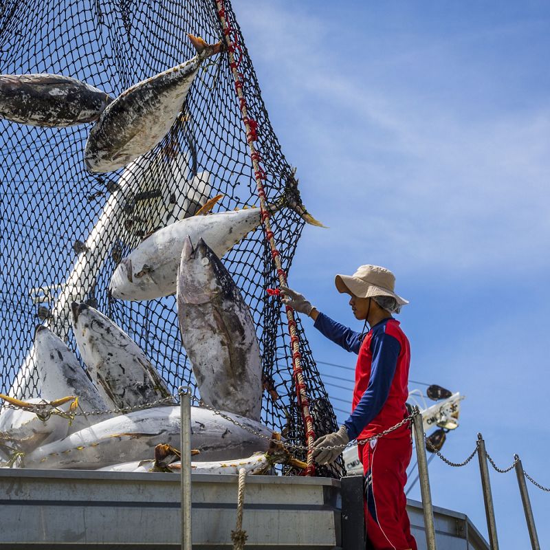 Un pescador con equipo rojo se encuentra junto a una red de pesca.