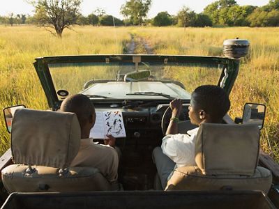 Two safari guides sit in an open-top truck and look at a bird identification book