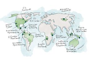 An illustration of six continents with countries highlighted in green.