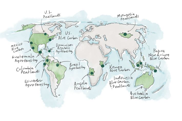 An illustration of six continents with countries highlighted in green.