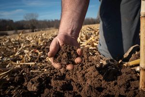 Closeup of a hand holding a clump of dirt in a field.