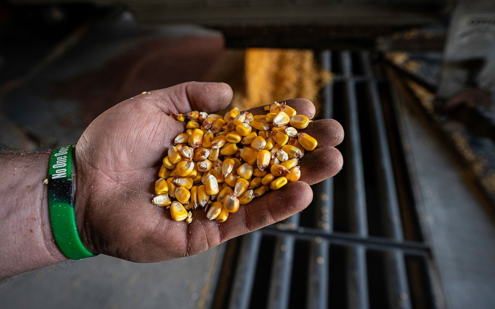Bumper crop Travis Luedke holds a handful of corn fresh from the harvest. © Patrick Flood Photography LLC