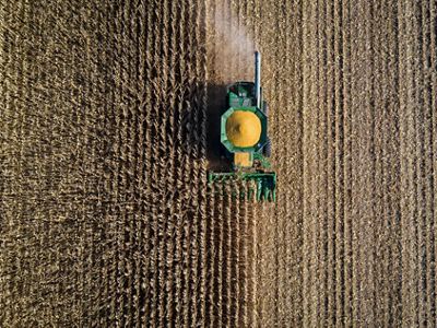 Aerial view looking straight down at a green corn harvester driving through rows of a golden cornfield; the top of the harvester is full of bright yellow corn.
