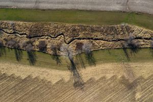 Aerial view looking straight down onto a narrow stream flowing horizontally across a golden landscape; small trees along its banks throw shadows on the ground.