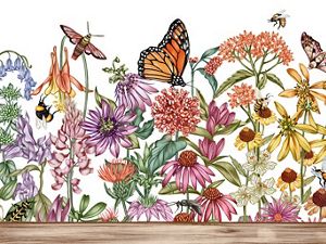 Illustration of Pollinators and Flowering Plants