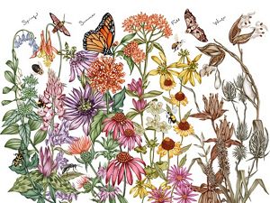 an illustration of a pollinator garden with flowers and flying insects.