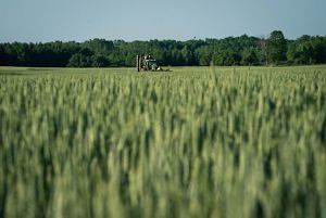 Waist-level view of a tractor in a field in the distance; blurry green crops are in the foreground.